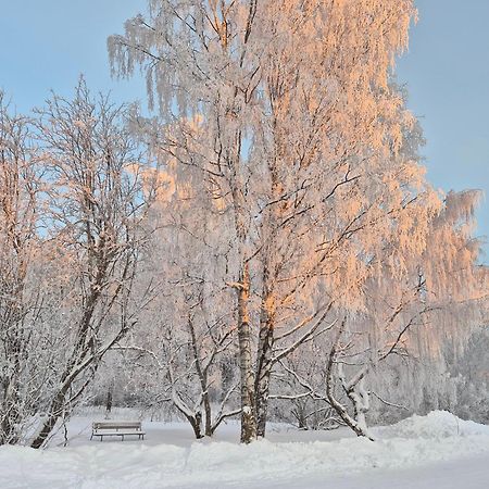 罗瓦涅米Tilava Uudistettu Perheasunto公寓 外观 照片
